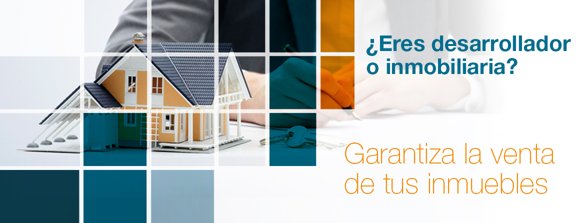 DESARROLLADORES E INMOBILIARIAS